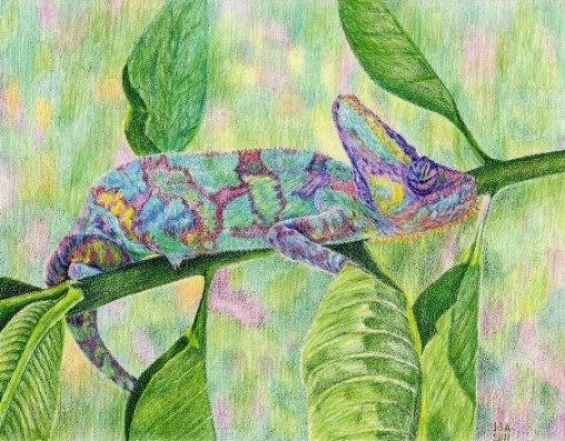 Chameleon
