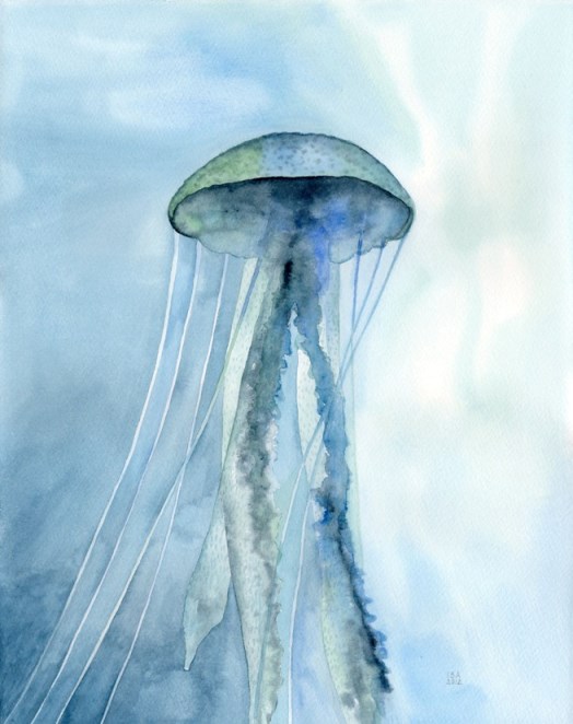 Sea Jelly
