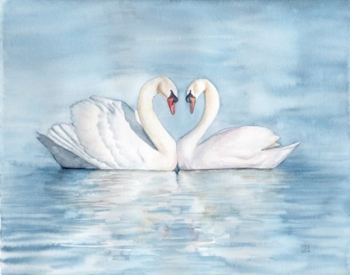 Swans