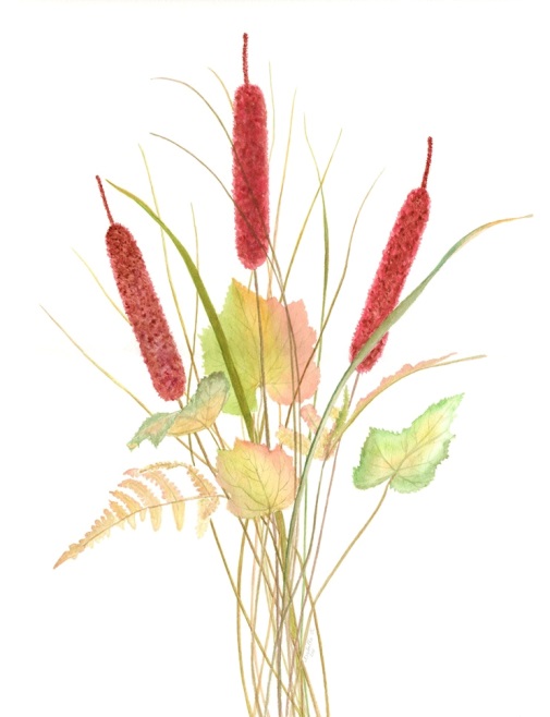 Cattails