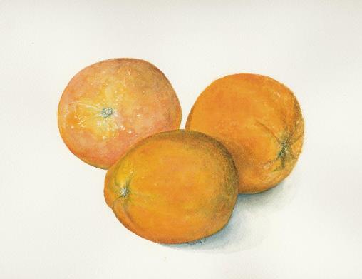 Three Oranges