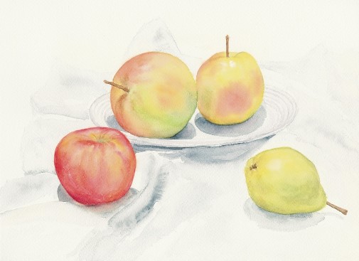 Apples on White