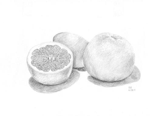 Grapefruit