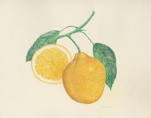 Lemon