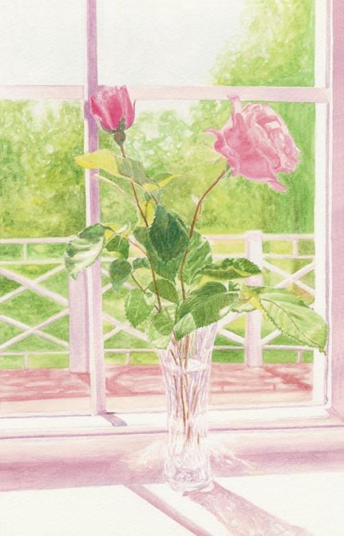 Rose on Windowsill