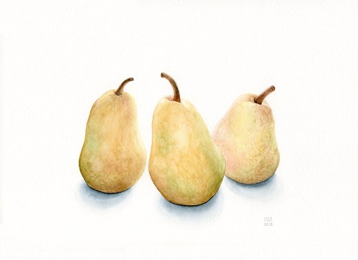 Yellow Pears